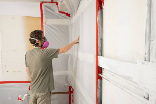 Best Forensic Mold Investigation  in Pumpkin Center, NC