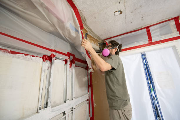 Best Post-Construction Mold Inspection  in Pumpkin Center, NC