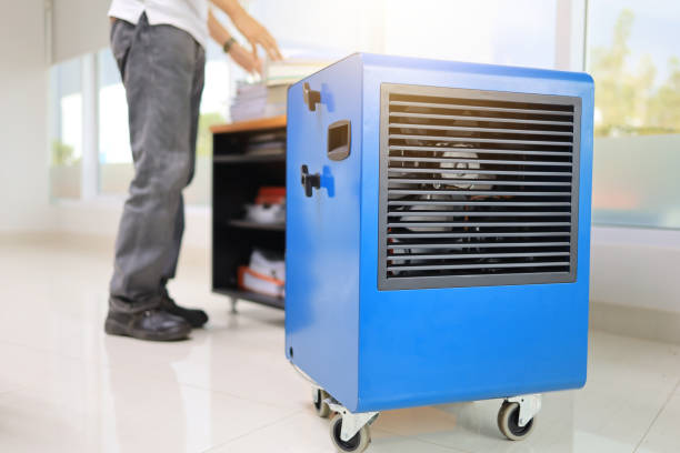 Best Commercial Mold Inspection  in Pumpkin Center, NC