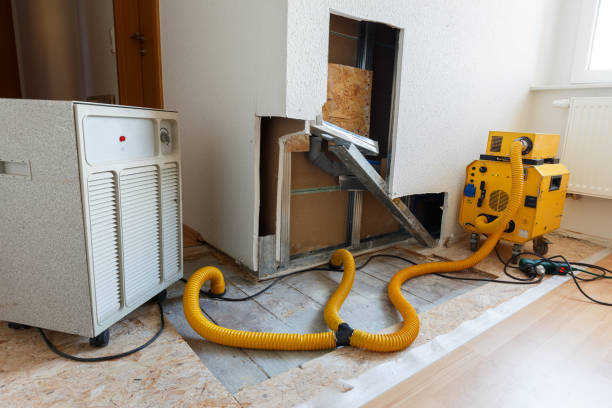 Best Water Damage & Mold Remediation  in Pumpkin Center, NC